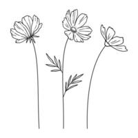 Set of cosmos wildflowers in black line art on white background. Hand-drawn flowers, and leaves. Wild plants and botanical elements for design projects vector