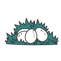 a cartoon illustration of eggs in grass vector