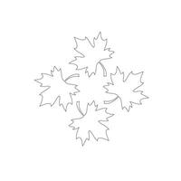 maple leaves in a circle vector