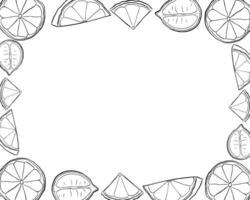 Lemons slice rectangle frame. Black and white template with citrus fruits. graphic line ink illustration with empty space for text. Ideal for menu, package, cosmetic, textile, cards vector