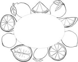 Lemon fruit and slices oval frame hand drawn design. graphic line ink black and white illustration. Design, package, brochure illustration, packaging design and other. vector