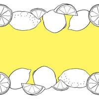 Lemons cut, slices and whole seamless horizontal border frame. black and white colored Citrus lemons line graphic ink art. Template for food design, recipe, cook book, packages, menu, food ads vector