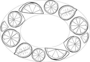 illustration of lemon slices oval frame. Graphic line black and white ink template on transparent background. art for food design, recipe, cook book, packages, menu, food ads and decor vector