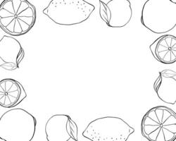Lemons whole and slice rectangle frame. Black and white citrus fruits template. graphic line ink illustration with empty space for text. Design for menu, package, cosmetic, textile. vector