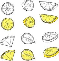 Fresh lemon fruits slices isolated icon set. Yellow and black and white lemon fruit graphic line ink illustration for package, kitchen design, fabric and textile. vector