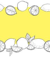 Lemons cut, slices and whole seamless horizontal border frame. black and white Citrus lemons line graphic ink art. Template for food design, recipe, cook book, packages, menu, food ads vector