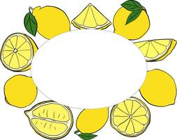 Lemon fruit and slices oval frame hand drawn design. graphic line ink illustration. Design, package, brochure illustration, packaging design and other. vector