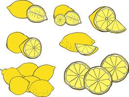 Lemons composition yellow colored graphic line ink set. illustration isolated on transparent background. for menu and package designs. vector