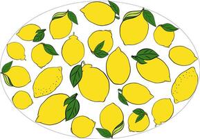 Yellow lemon whole with leaves oval composition. graphic line ink illustration on transparent background. illustration for package, kitchen design, fabric and textile vector