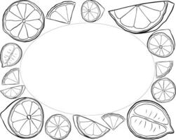 Citric black and white lemon slices rectangle frame. graphic line ink text frame templates. Design for menu, package, cosmetic, textile. vector
