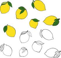 Lemon whole with leaves set collection. Tropical set with yellow and black and white lemons. illustration isolated on white background For logo, web, package, sticker. vector