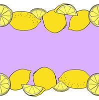 Lemons cut, slices and whole seamless horizontal border frame. Yellow colored Citrus lemons line graphic ink art. Template for food design, recipe, cook book, packages, menu, food ads vector