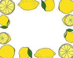 Lemons whole and slice rectangle frame. Bright summer template with yellow citrus fruits. graphic line ink illustration with empty space for text. Design for menu, package, cosmetic, textile. vector