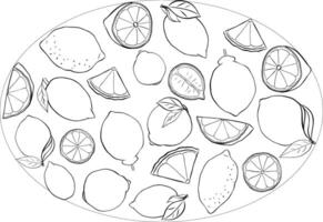 Yellow lemon whole and slices with leaves oval composition. graphic line ink black and white illustration on transparent background. illustration for package, kitchen design, fabric and textile vector
