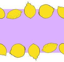 Lemon whole citric fruits seamless horizontal border frame. Hand drawn graphic line ink illustration. yellow colored Banner for menu, package, cosmetic, textile, cards vector