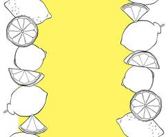 Lemons citric fruits whole and slices seamless horizontal border frame. Hand drawn graphic line ink black and white colored illustration. Ideal for menu, package, cosmetic, textile, cards vector