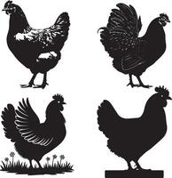 four silhouettes of chickens on a white background vector