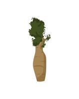 A cartoon illustration of a tree in a pot vector