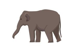 An elephant is standing on a white background vector