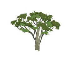 A tree with leaves on it is shown in this illustration vector