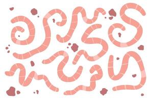 Colorful worm illustrations create Several vibrant worm vector