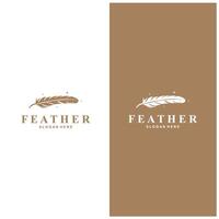 feather feather feather feather feather feather feather feather feather feather feather feather feather feather feather feather feather feather vector