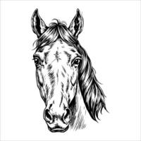Front-facing horse portrait with realistic features and detailed mane vector