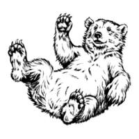 A bear is laying on its back with its paws in the air vector