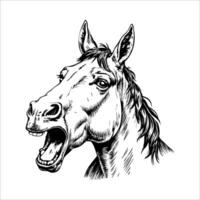 Close-up ink sketch of horse head with upright ears and expressive eyes vector