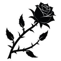 black rose with leaves white background vector