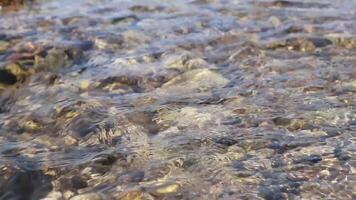 Water Flowing Over Rocks in a Shallow Stream Close Up video