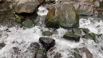 Flowing Water Splashing on Rocks in Natural Stream Slow Motion video