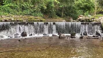 Flowing Water Cascading Over Stone Dam in Peaceful Green Nature Setting video