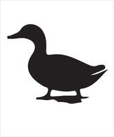duck isolated on white vector