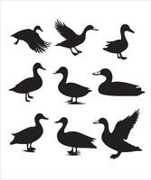 Elegant Duck Silhouette Illustration for Nature Projects vector