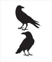 Silhouette Set of Crow, Raven, Bird, and Feather with White Background vector