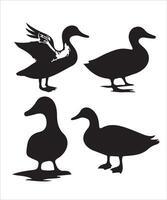 Elegant Collection of Duck Silhouettes in Various Poses vector