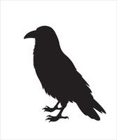 Silhouette Set of Crow, Raven, Bird, and Feather vector