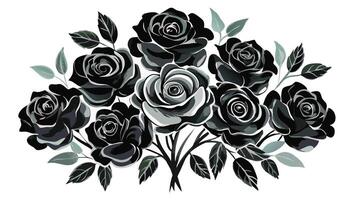 black and white roses on a white background vector
