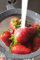 Fresh strawberries being rinsed in a colander under running water photo