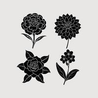 Set of flowers Carnation,Dahlia,Forget and Gardenia on white background vector