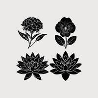 Set of floral design elements with decorative flowers and leaves vector