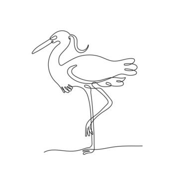 Egret in continuous line art drawing style. Minimalist black linear sketch isolated on white background. Bird illustration, vector