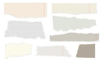 Ripped note paper. Scraps of lined and squared notebook papers. Realistic pieces with torn edges for notes and scrapbook collage. Torned memo templates. isolated set vector