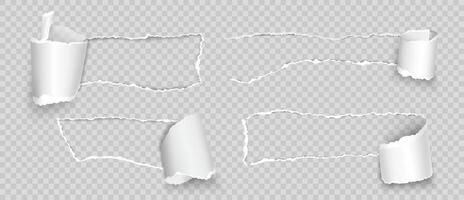 Torn paper with rolled edge. Realistic ripped and folded strips, pieces of notepad with space for text. Paper scraps with curled element. Page with rip and torn holes. set vector