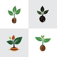 Growth and Development of Plants A Visual Representation vector