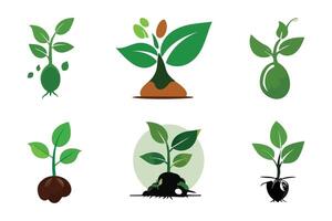Collection of Various Sprout and Plant Illustrations vector
