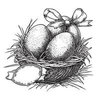 Easter eggs in the nest vector