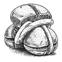 A drawing of a sandwich with two slices of bread vector