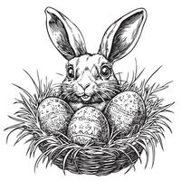 Easter bunny with eggs in the nest illustration vector